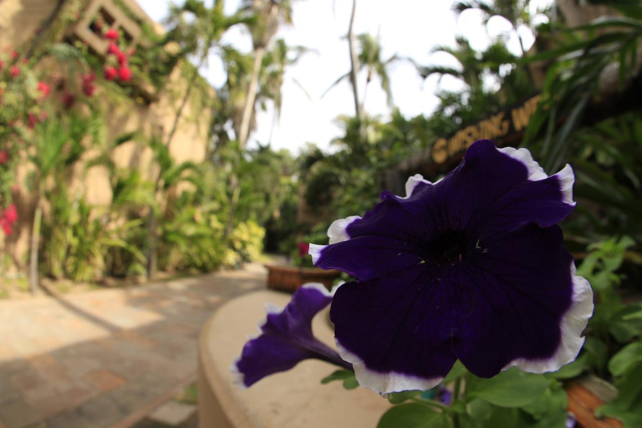 Villas El Rancho Green Resort Mazatlán Exteriör bild